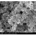 Super paramagnetic Silica Nano particles (-COOH)